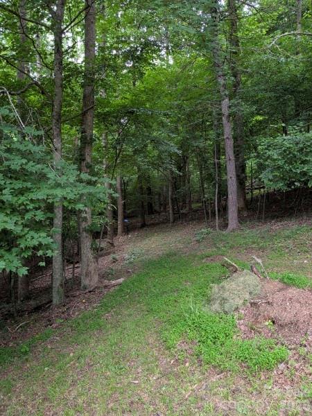 59 Ck Cabin Drive Property Photo 44