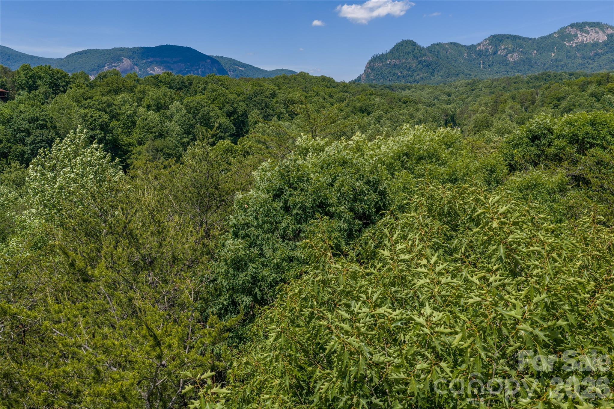 0000 View Trail Property Photo 2