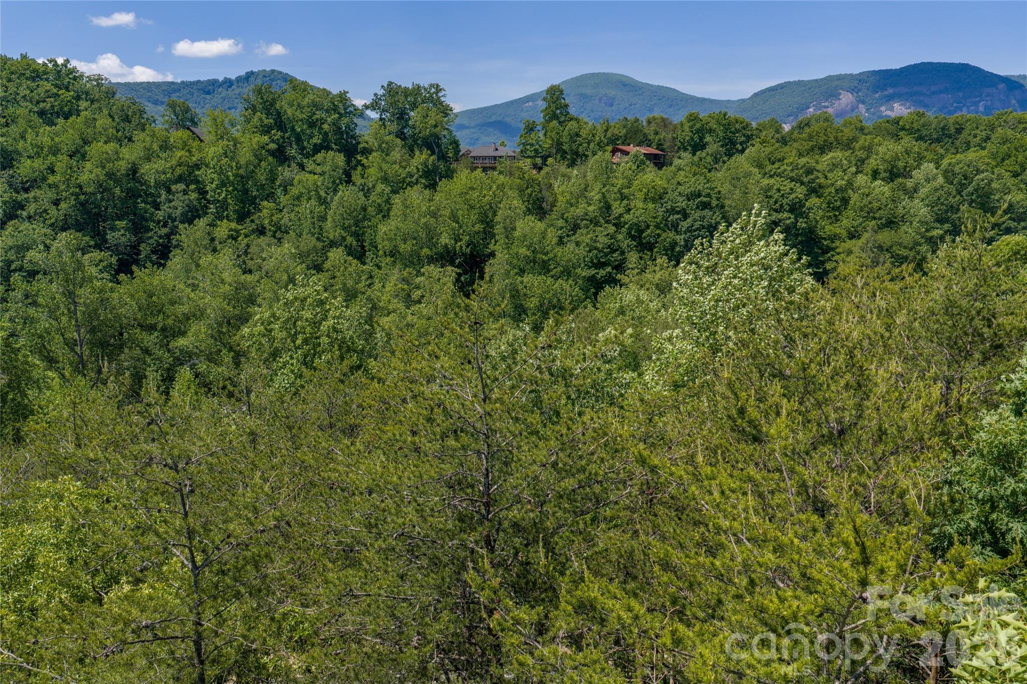 0000 View Trail Property Photo 3