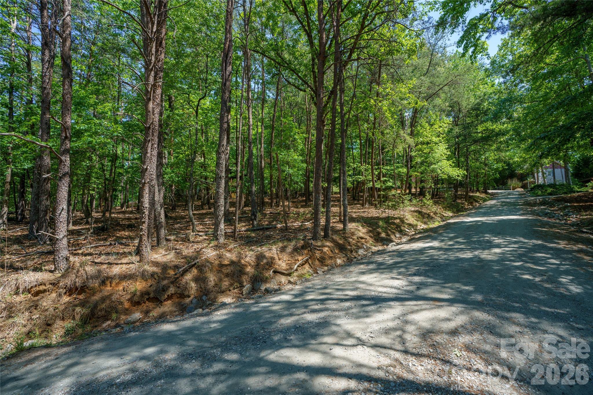 0000 View Trail Property Photo 4