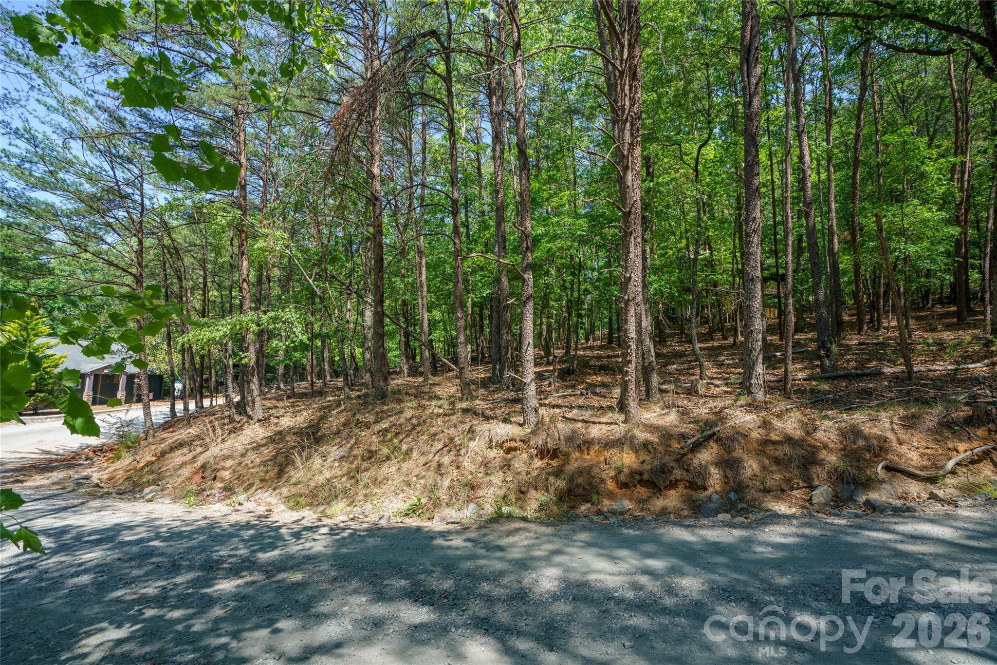 0000 View Trail Property Photo 11