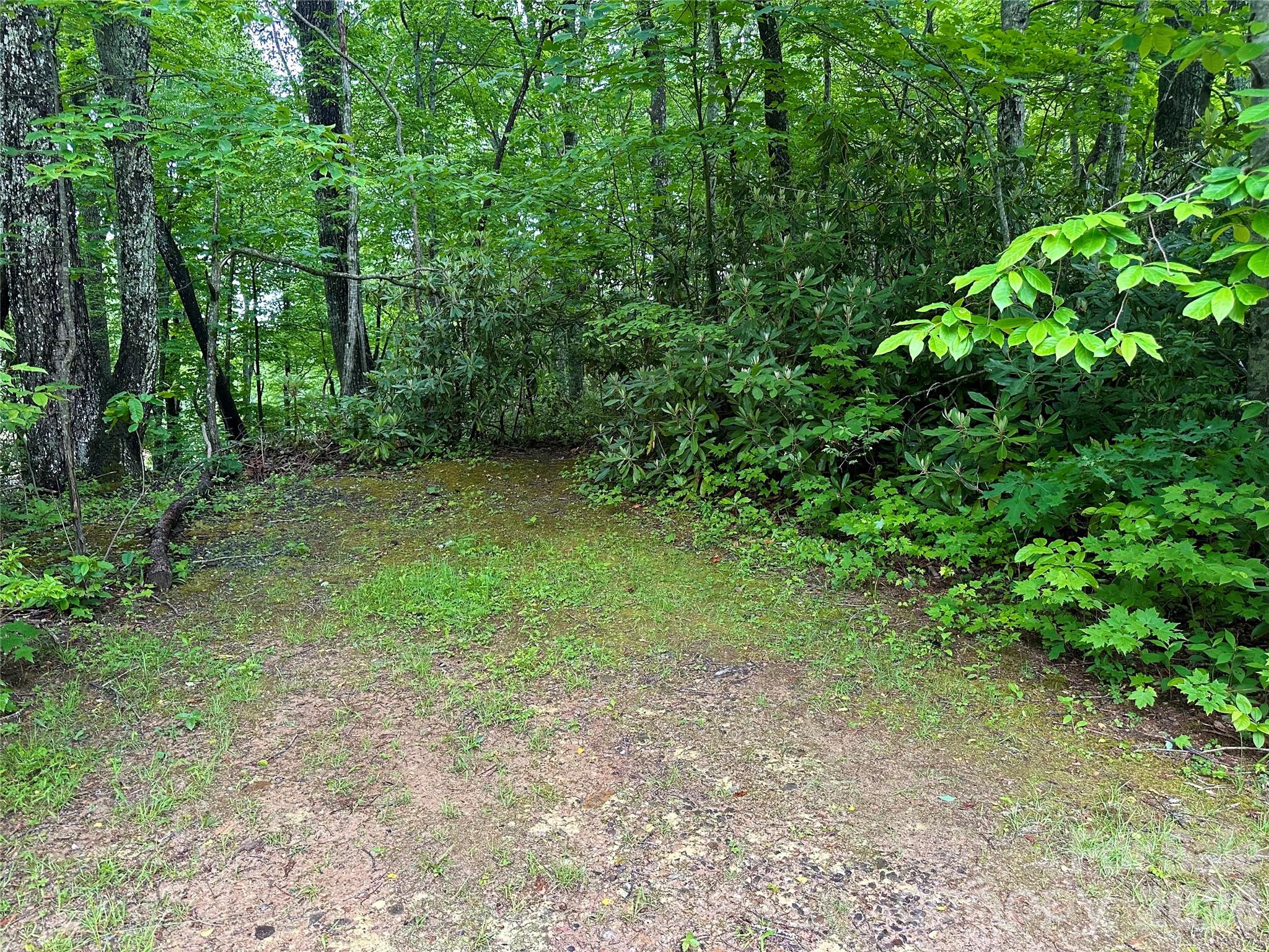 000 Laurel Circle Road Property Photo 3