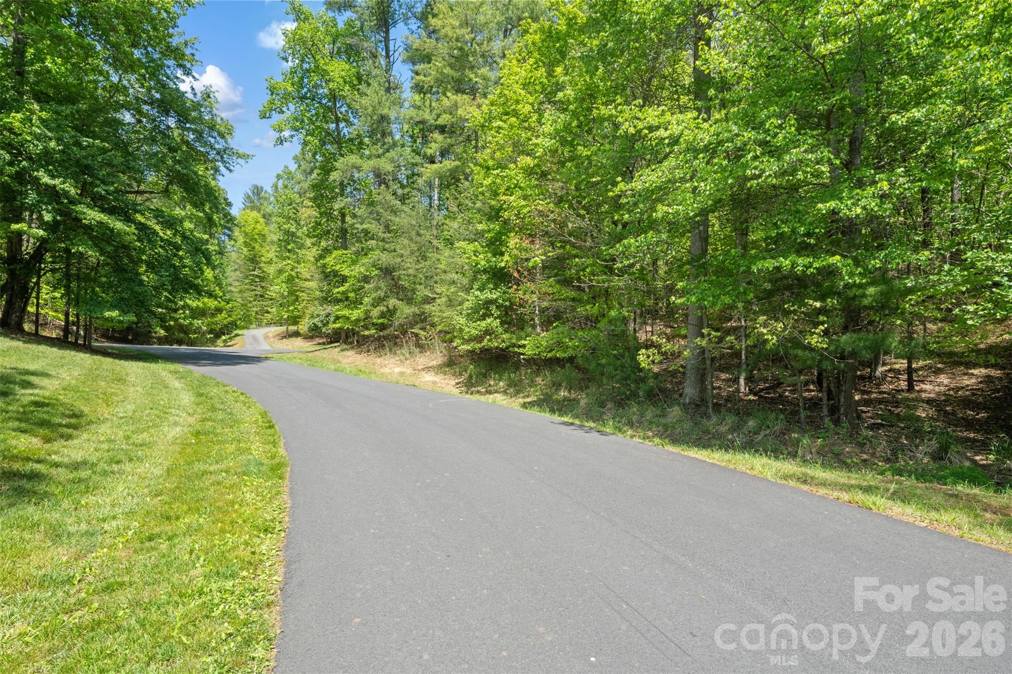Tbd Peddlers Trail 26 Property Photo 3