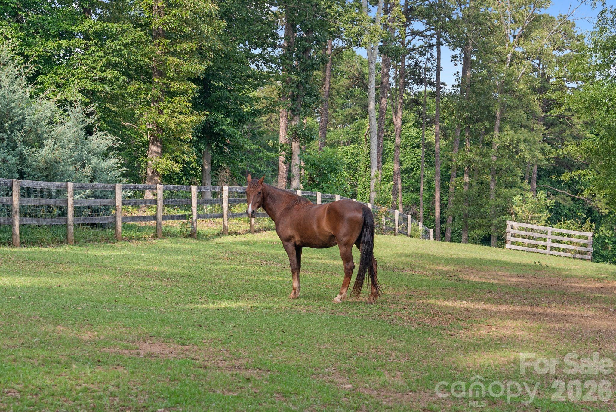 9870 Harvest Lane Property Photo 44