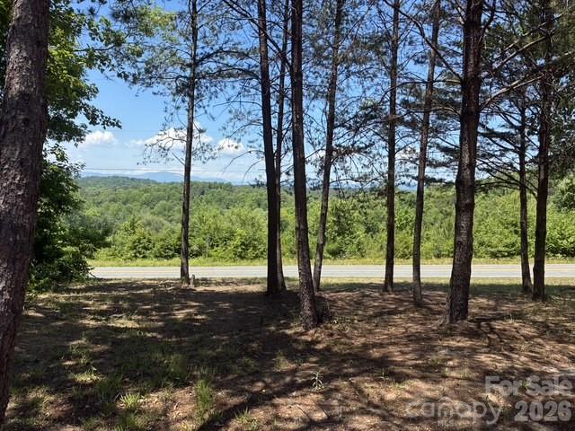 1431 Mountain Creek Road Property Photo 5