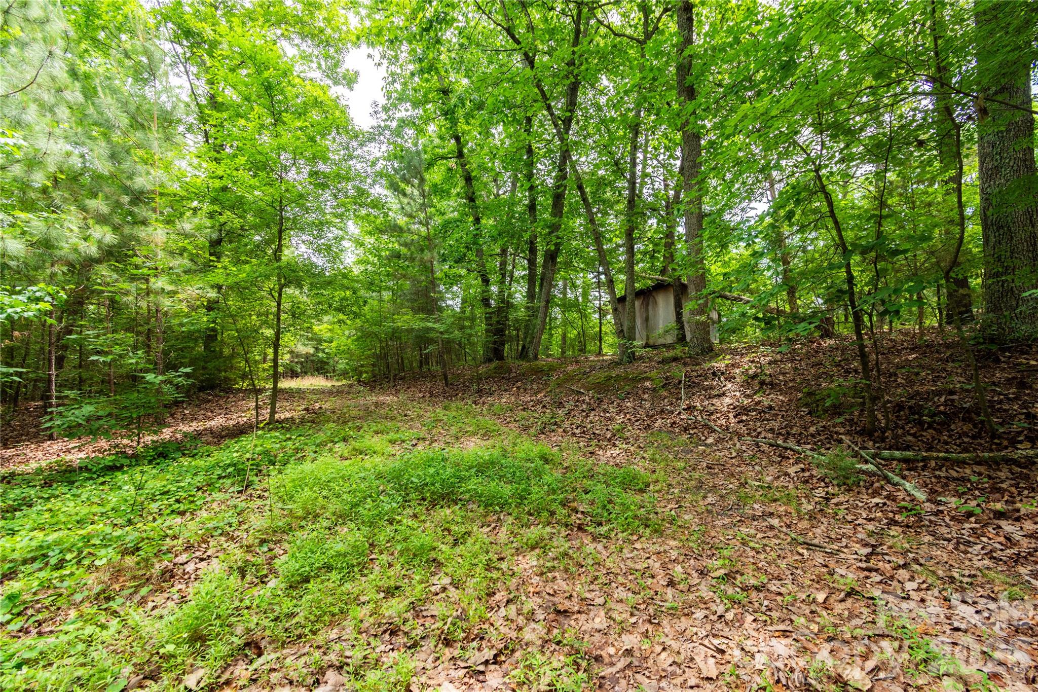 10522 Kimberly Lane Property Photo 1