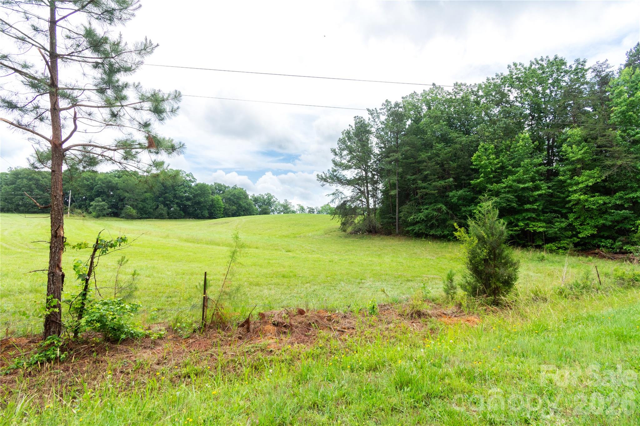 10522 Kimberly Lane Property Photo 4