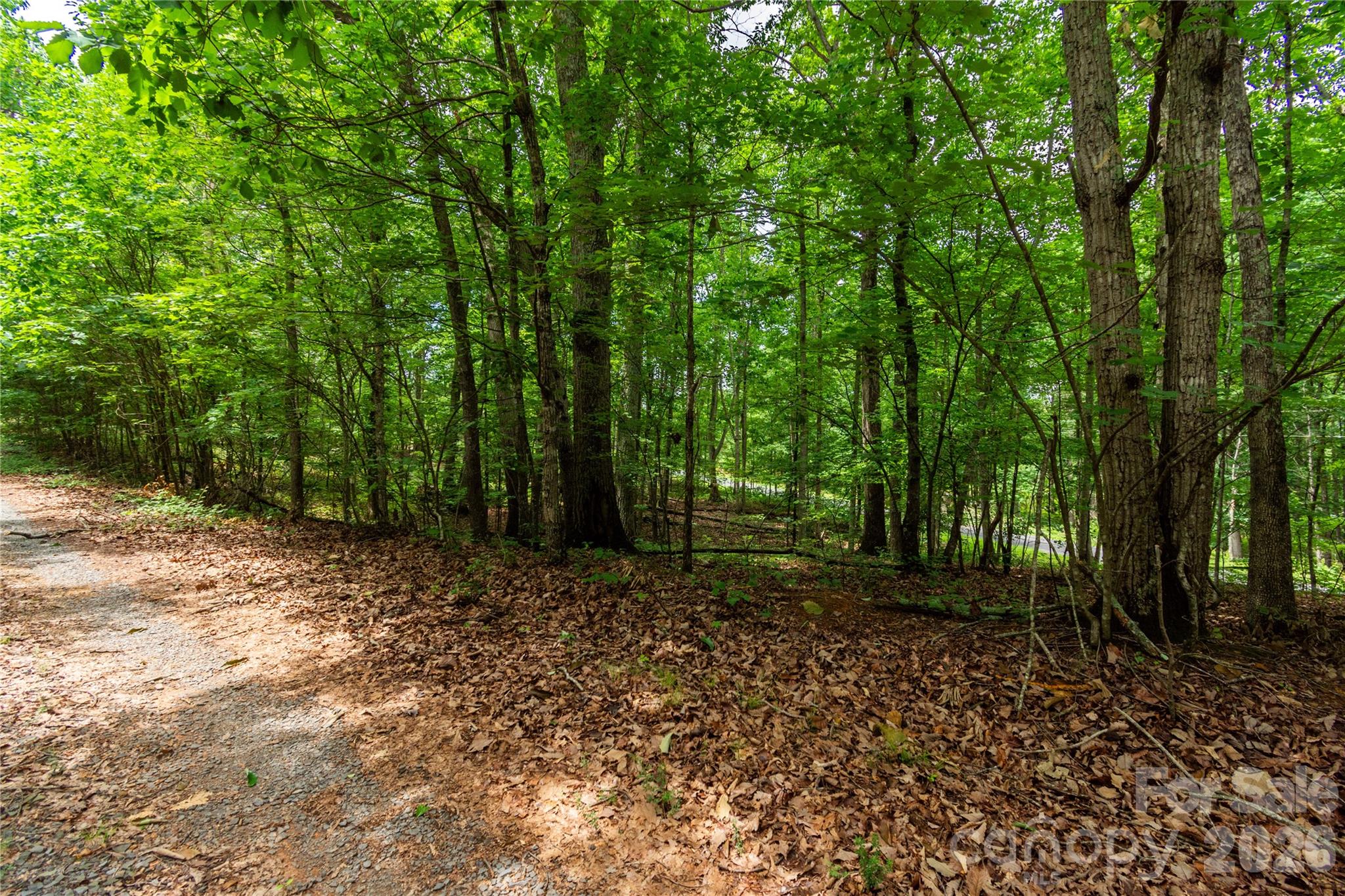 10522 Kimberly Lane Property Photo 7