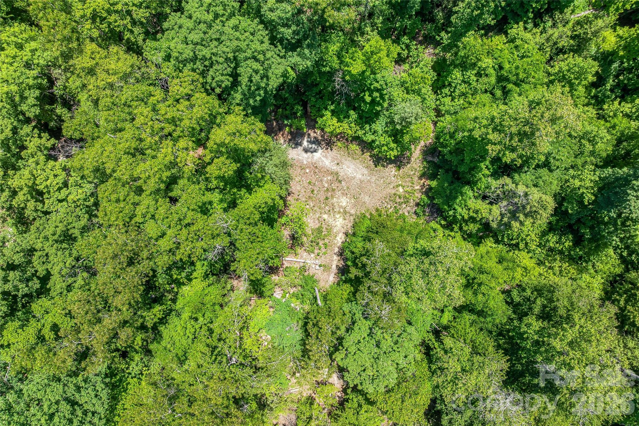 180 Fat Wall Road Property Photo 7