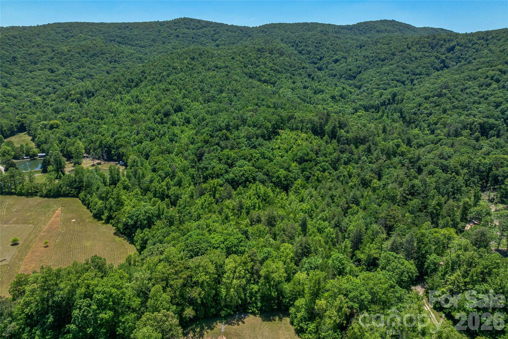 180 Fat Wall Road Property Photo 10