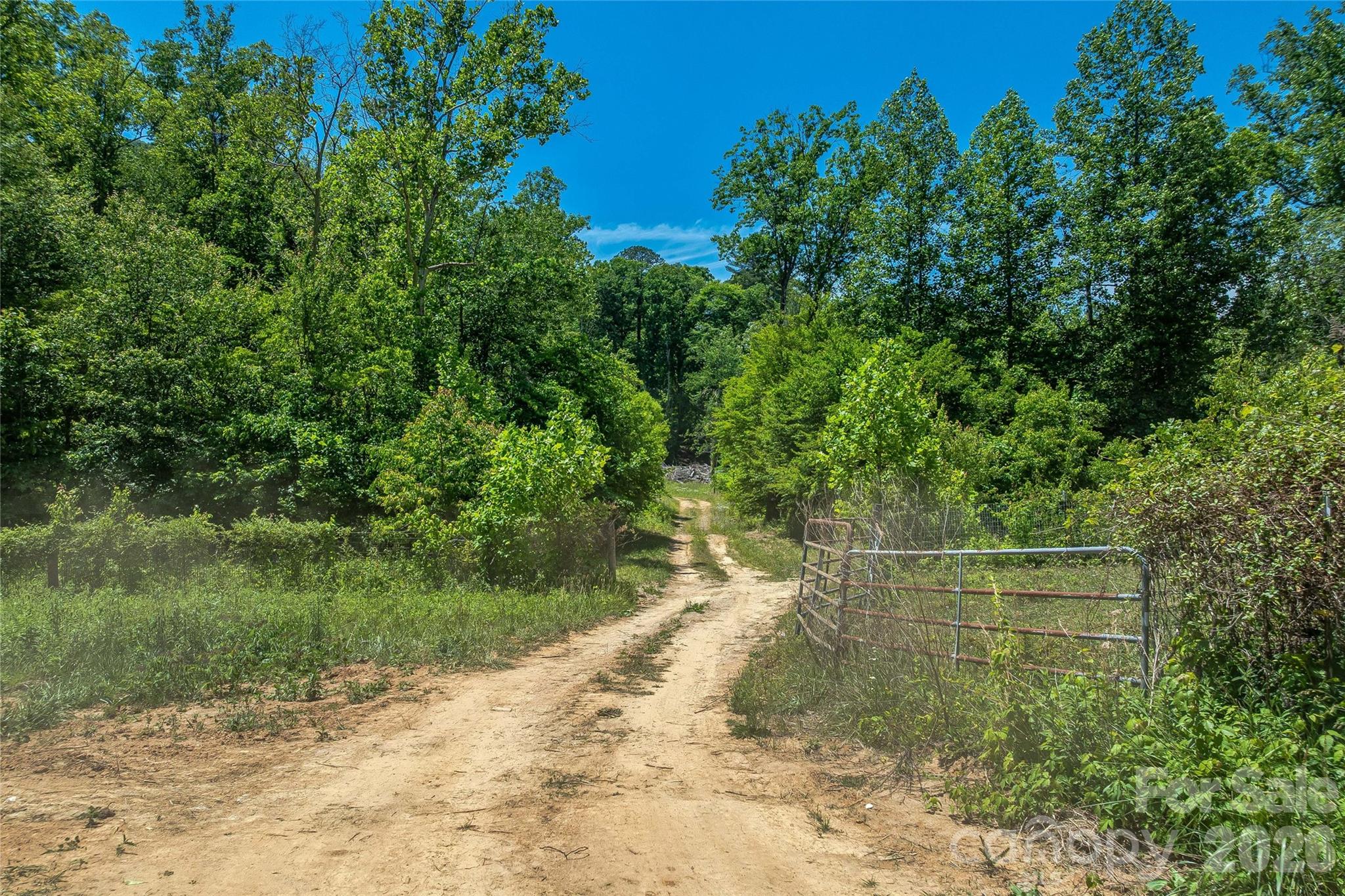 180 Fat Wall Road Property Photo 12