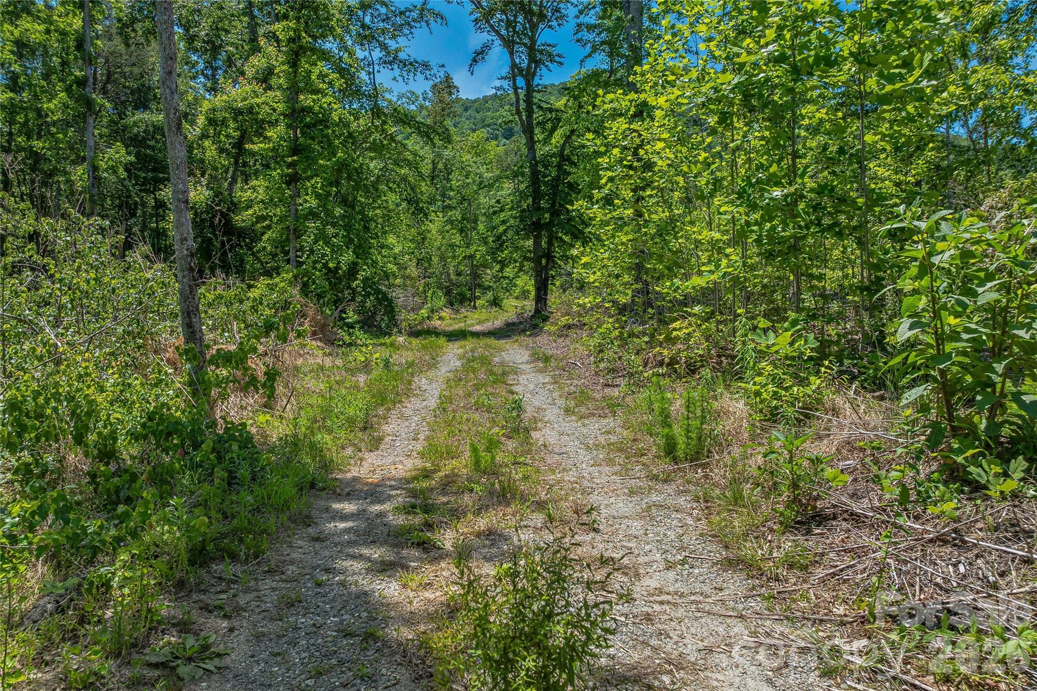 180 Fat Wall Road Property Photo 14