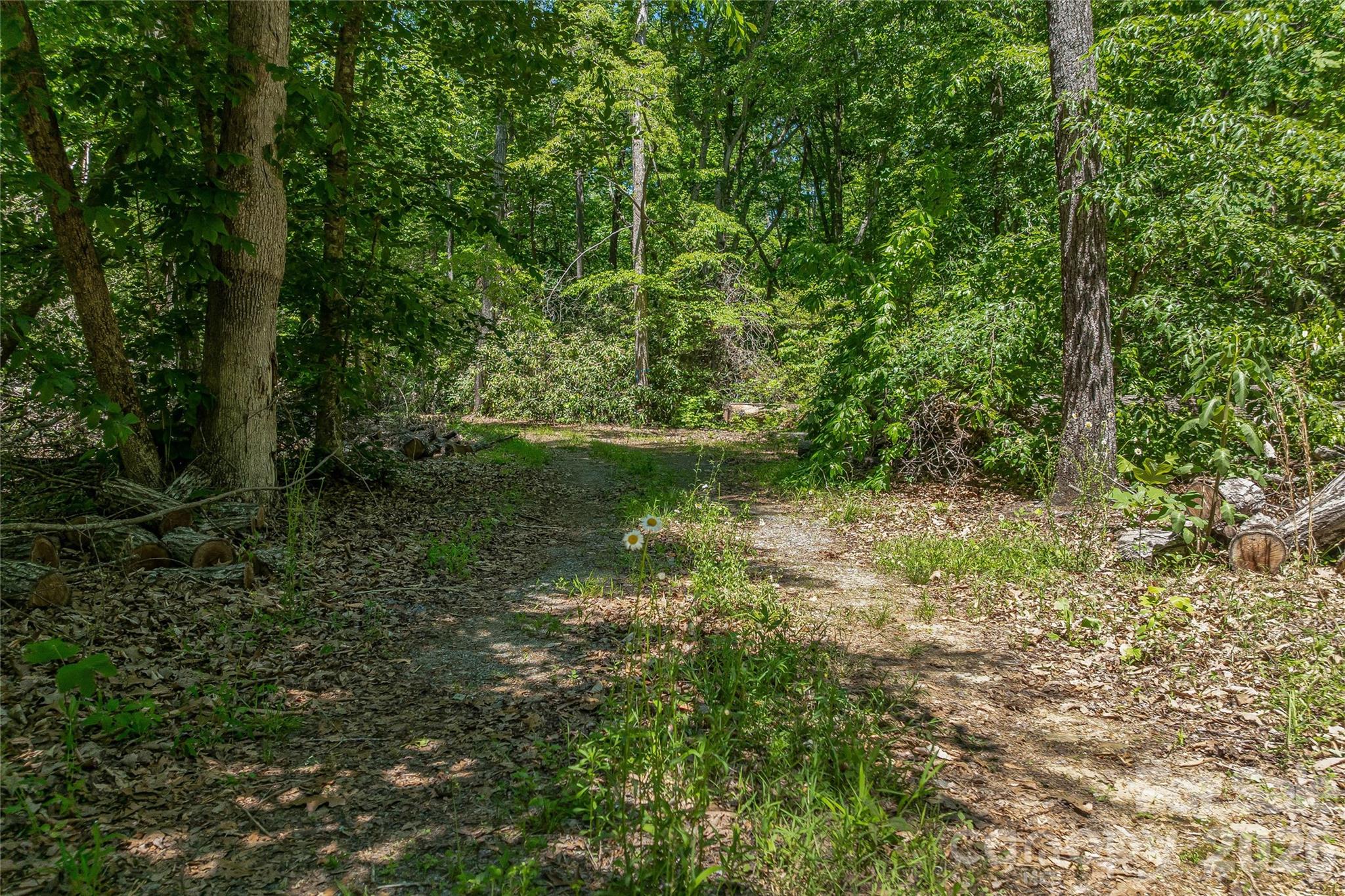 180 Fat Wall Road Property Photo 20