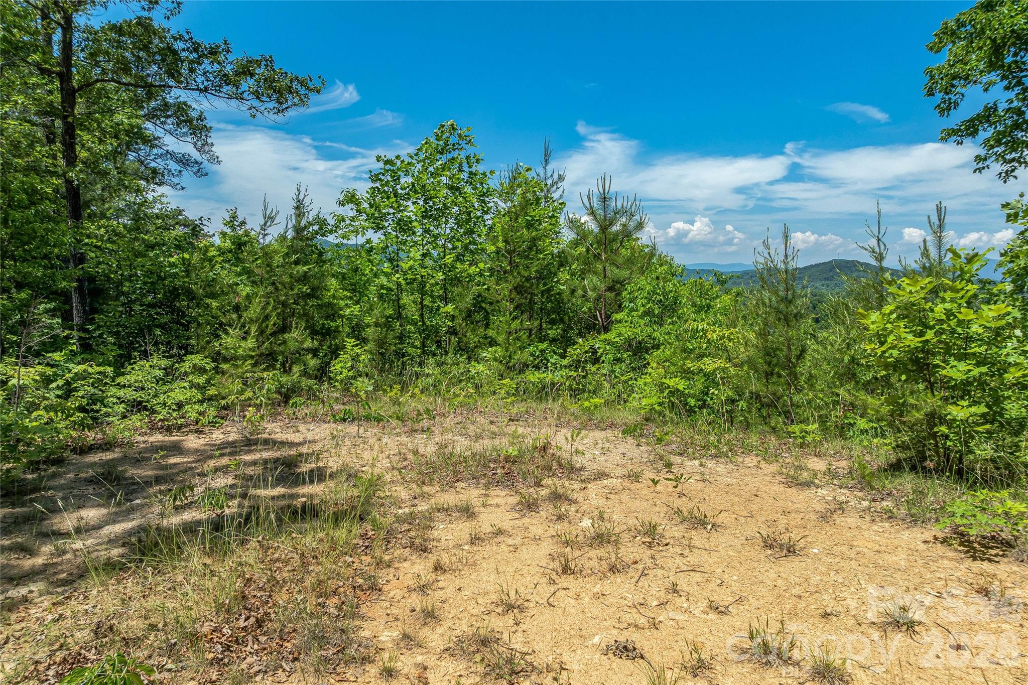 180 Fat Wall Road Property Photo 22