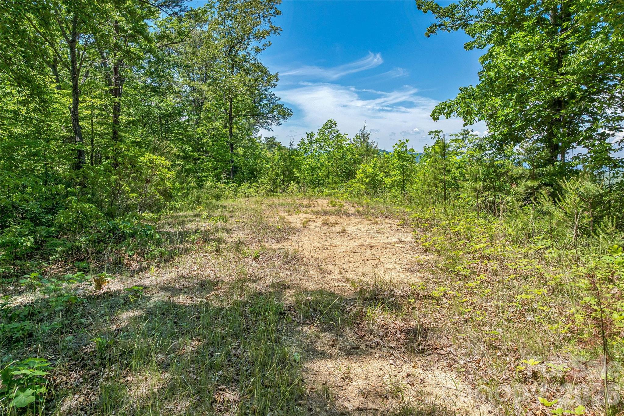 180 Fat Wall Road Property Photo 23