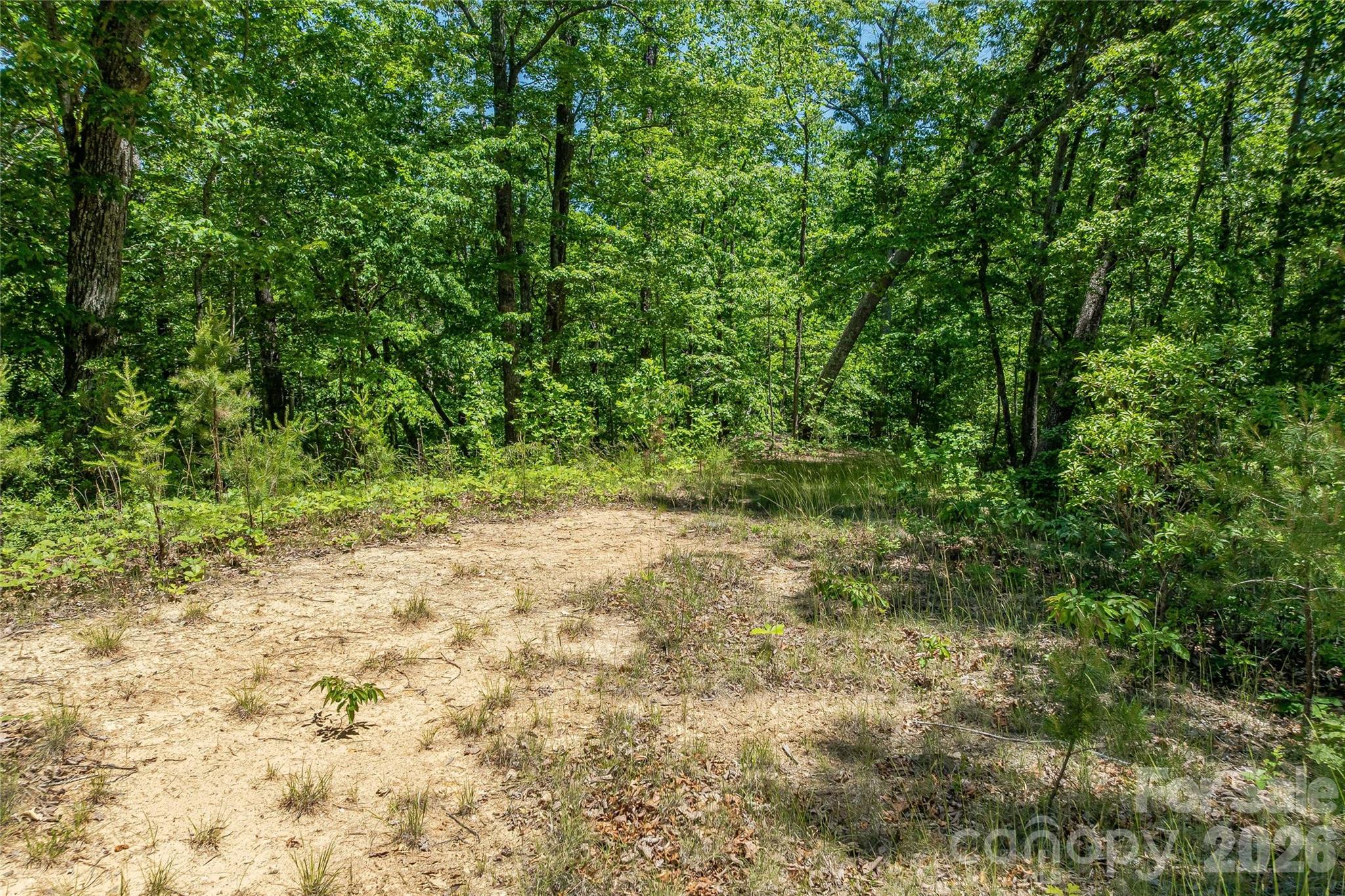 180 Fat Wall Road Property Photo 24