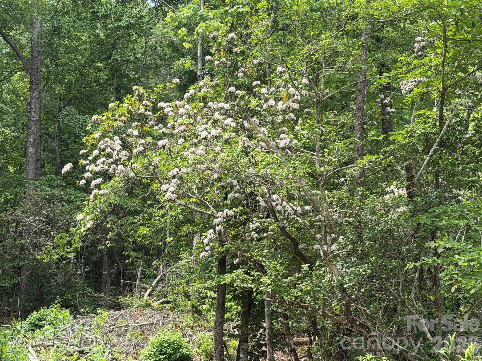 180 Fat Wall Road Property Photo 26