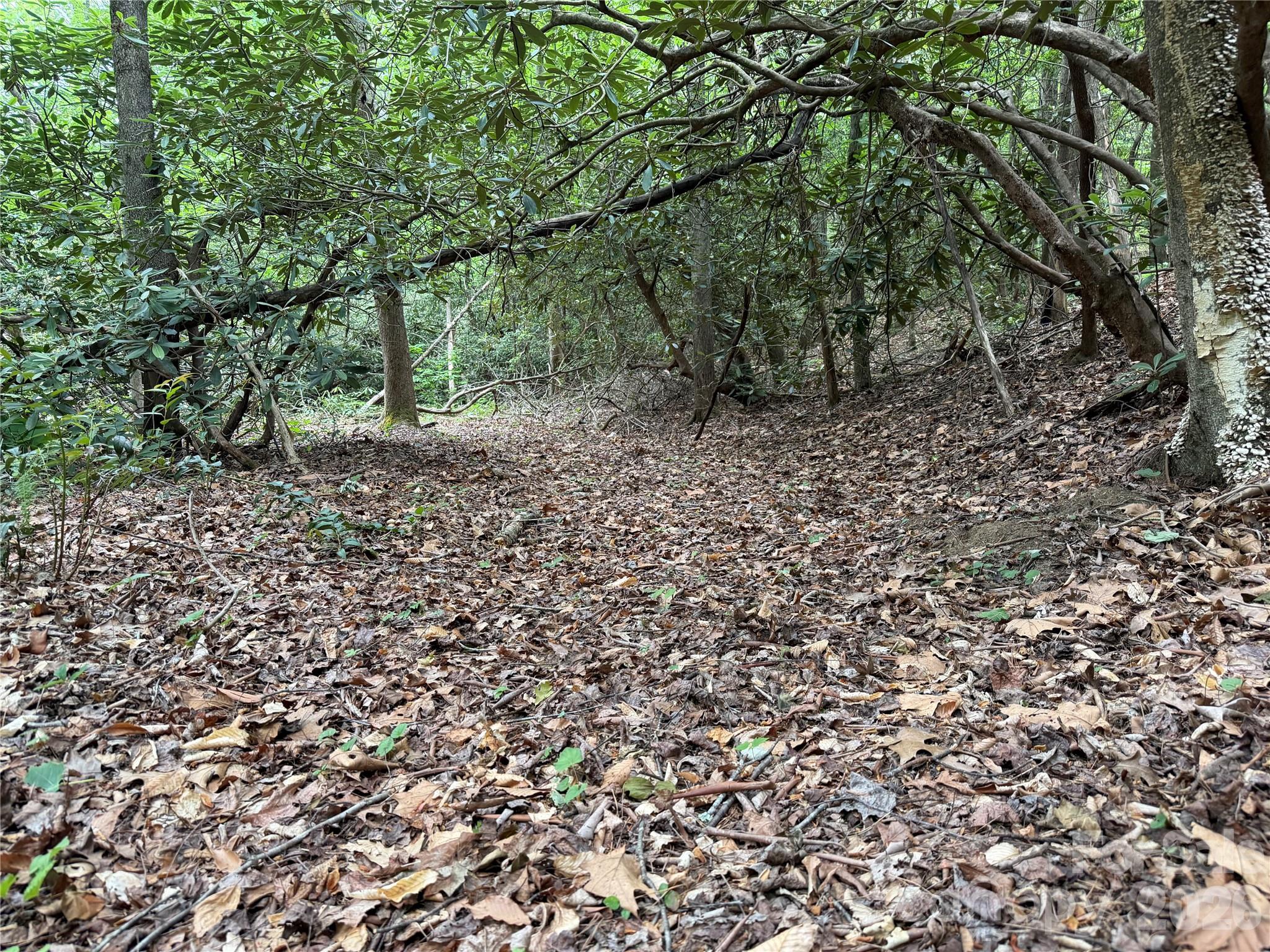 180 Fat Wall Road Property Photo 30