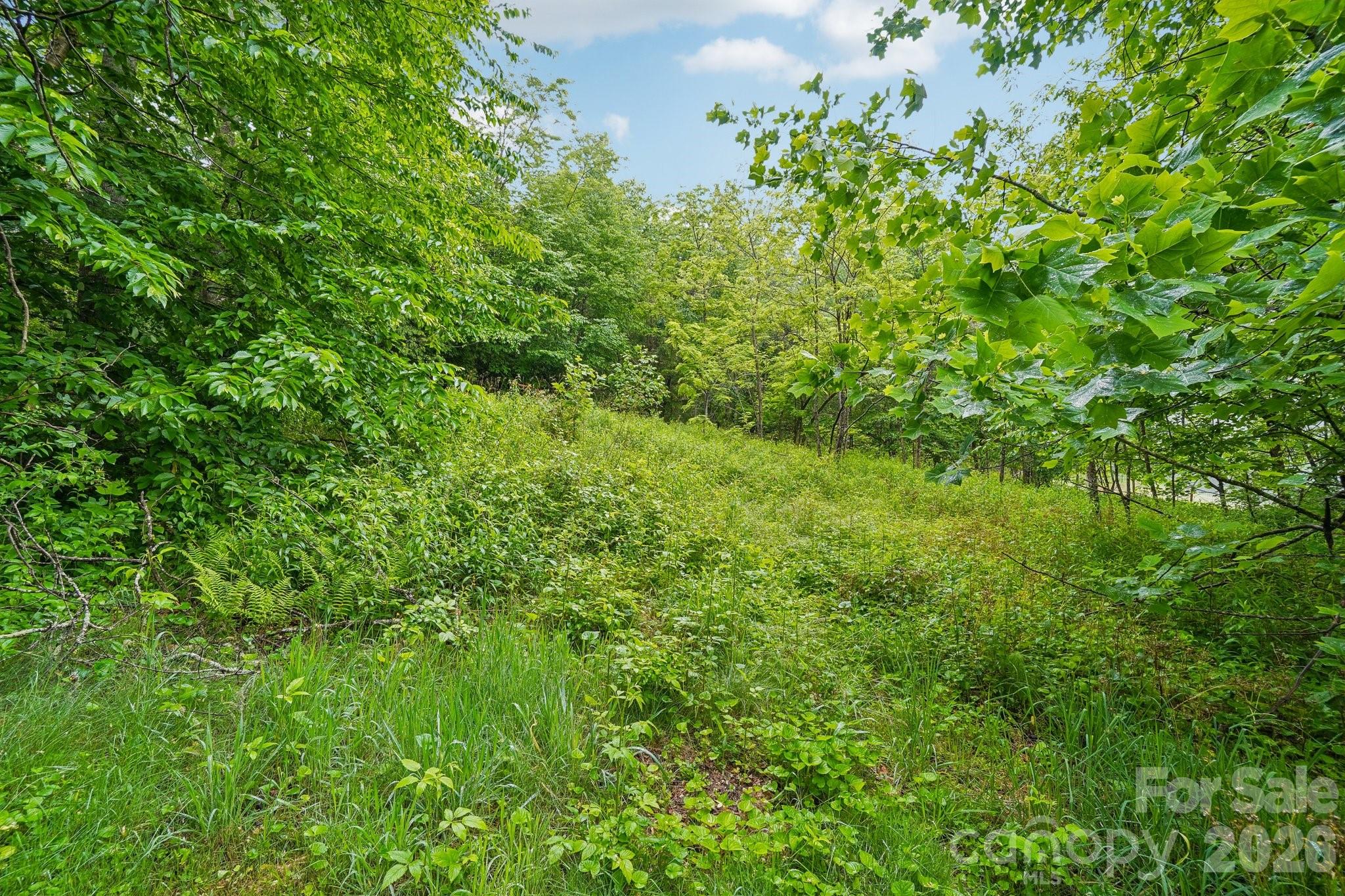 434 Dovers Branch Road Property Photo 38