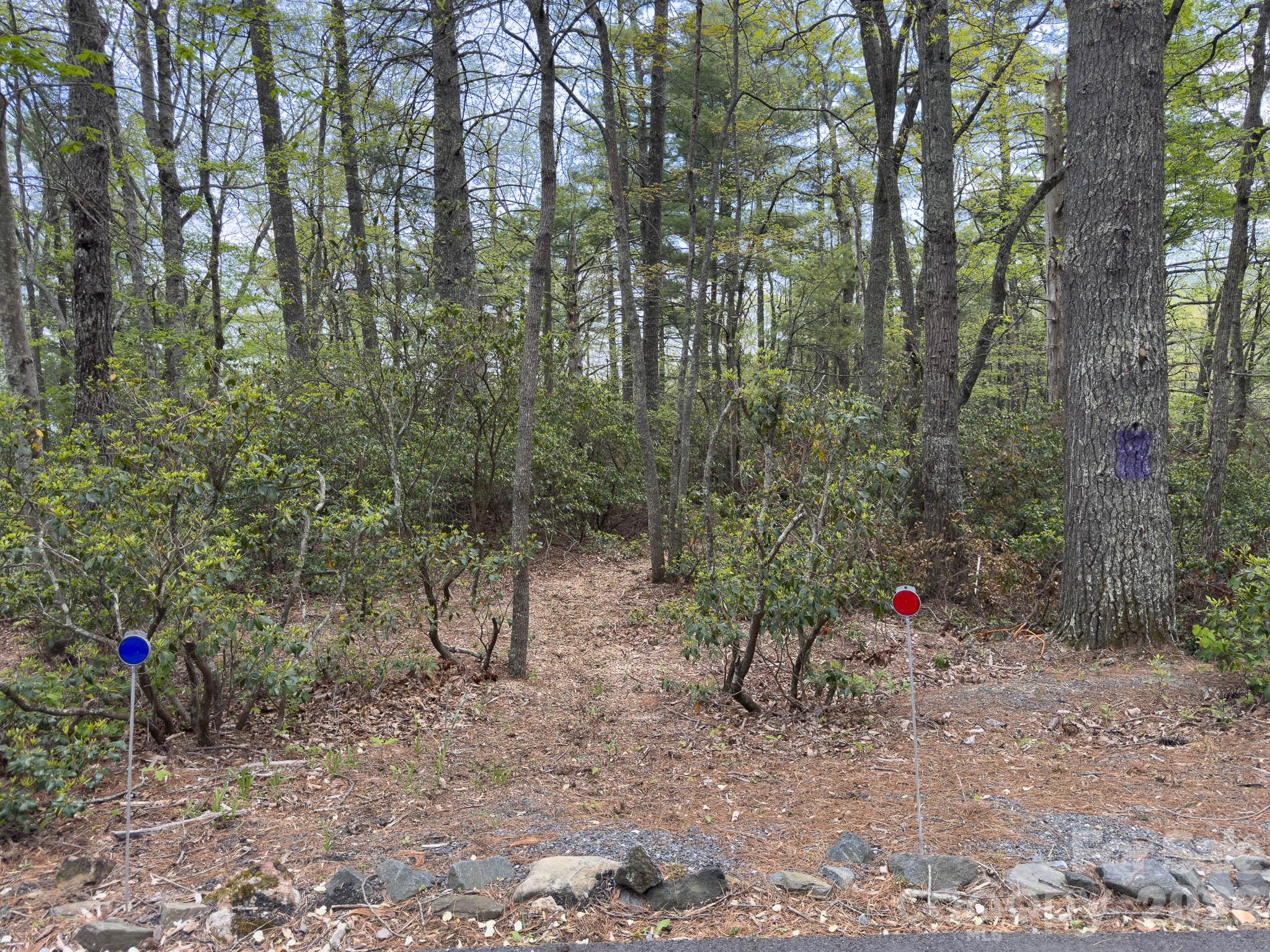 1971 Swiss Pine Lake Drive Property Photo 23