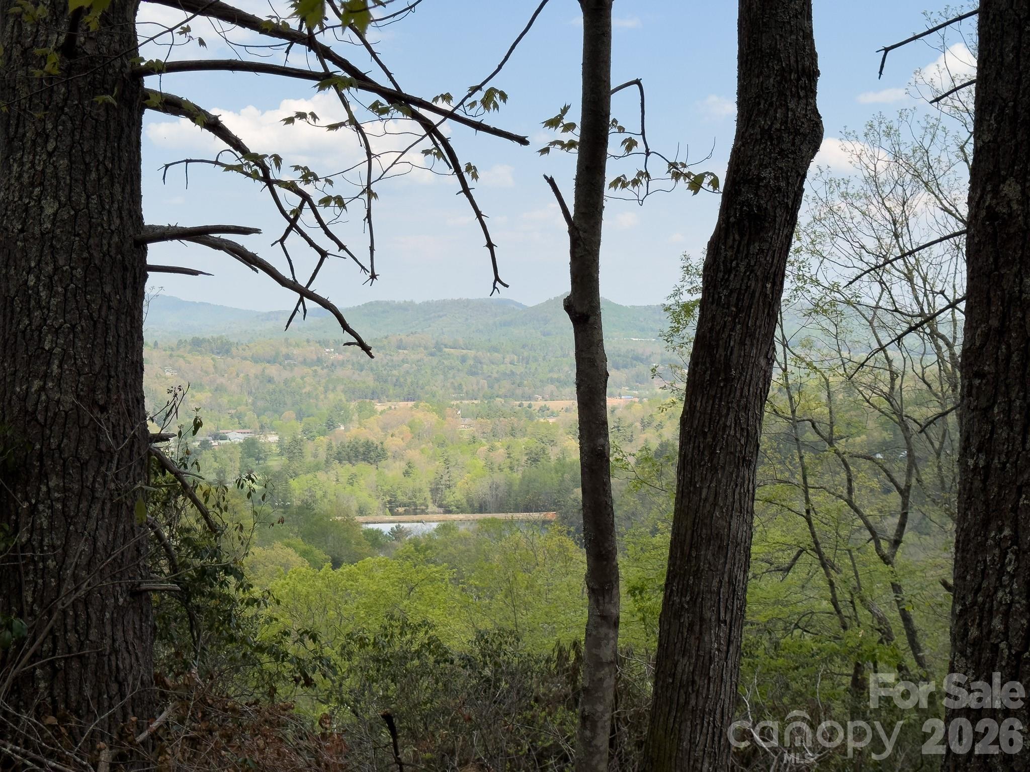1971 Swiss Pine Lake Drive Property Photo 25