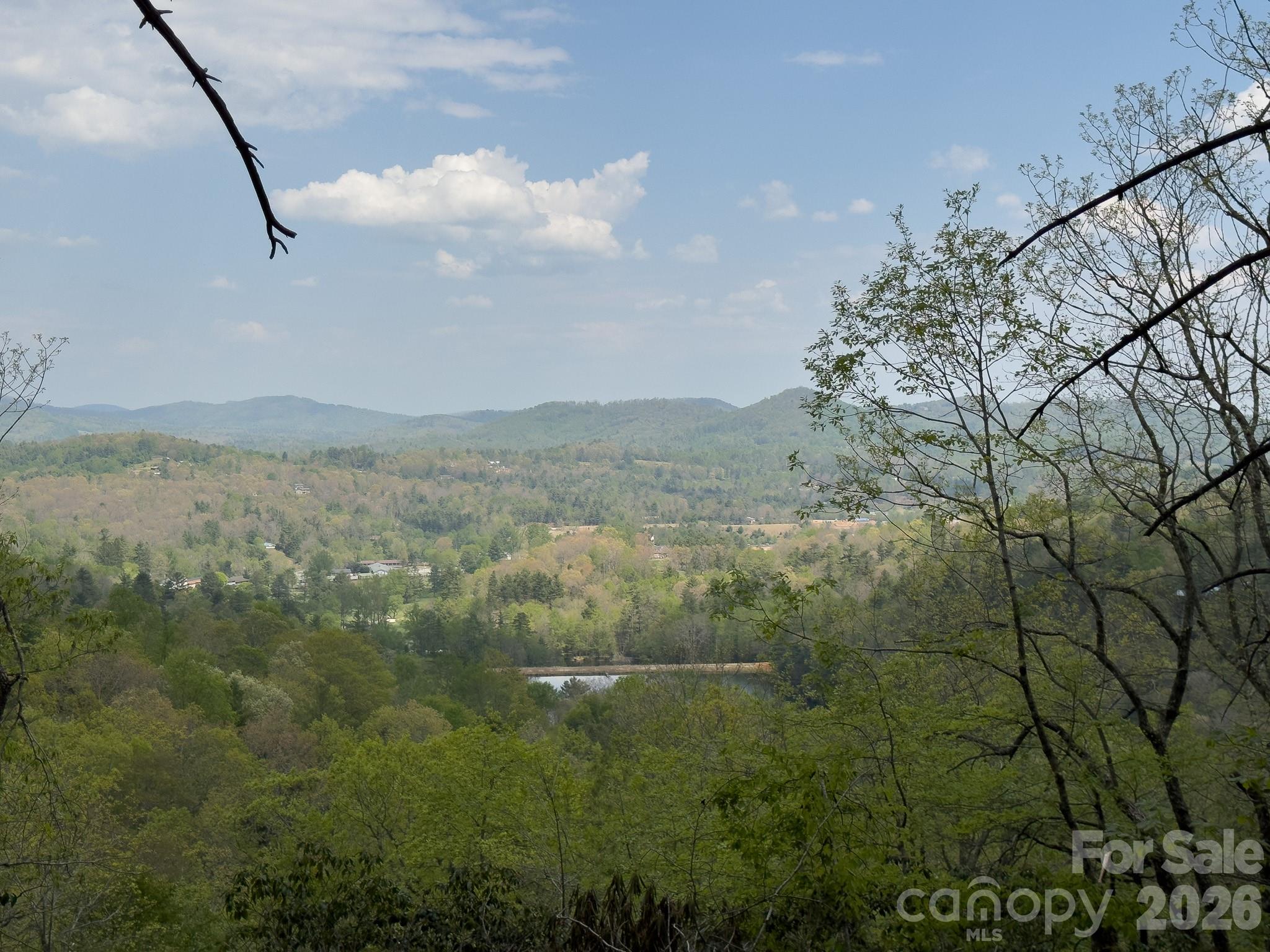 1971 Swiss Pine Lake Drive Property Photo 26