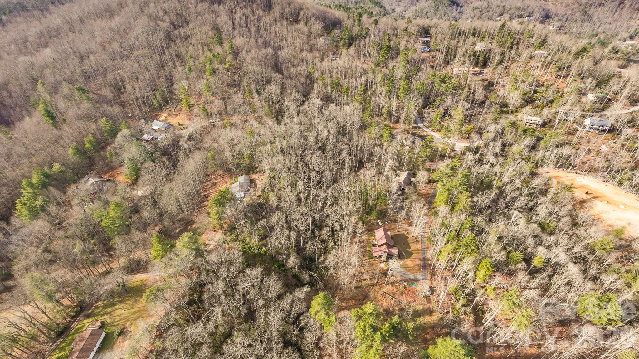1971 Swiss Pine Lake Drive Property Photo 28