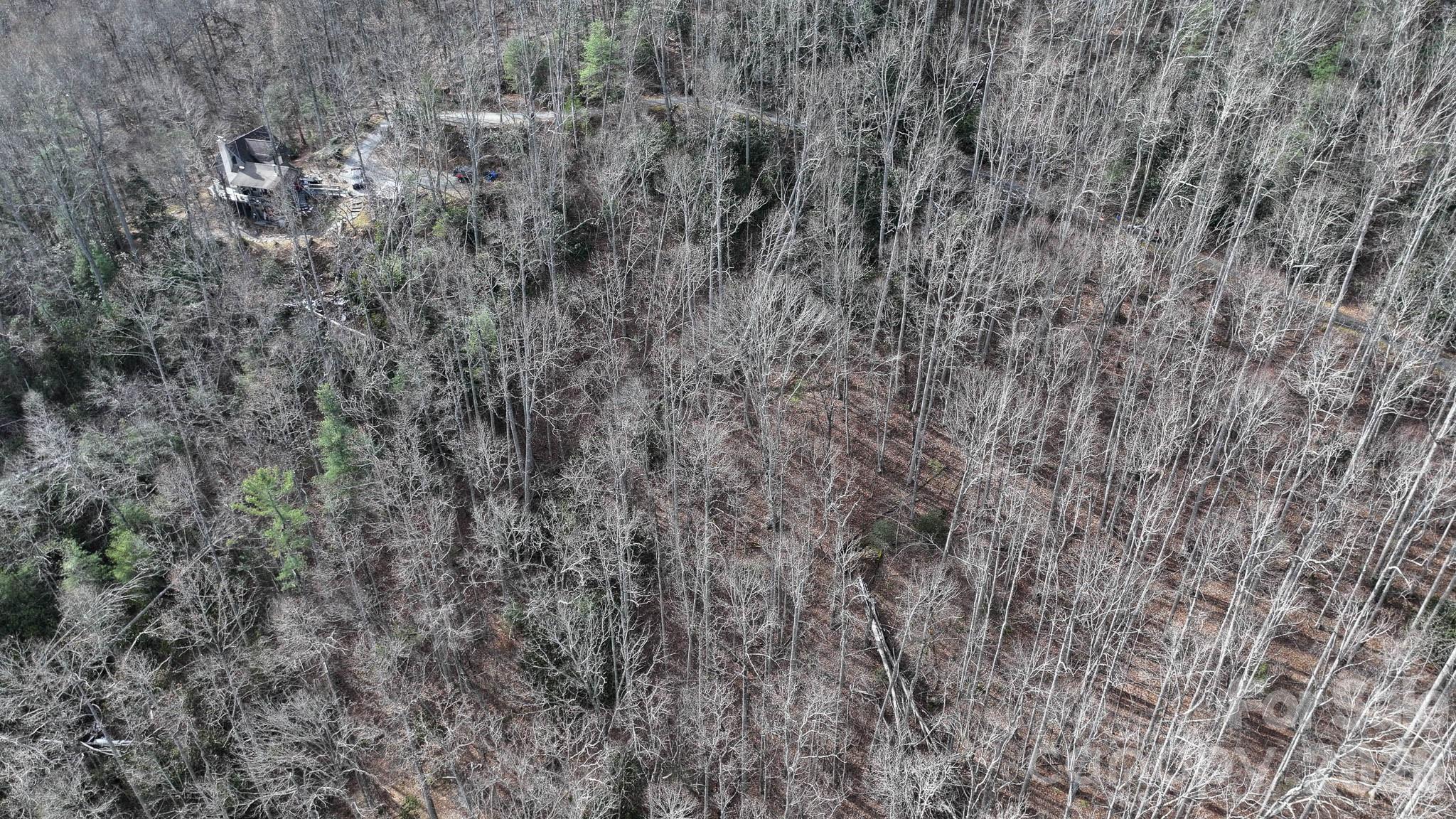 1971 Swiss Pine Lake Drive Property Photo 30