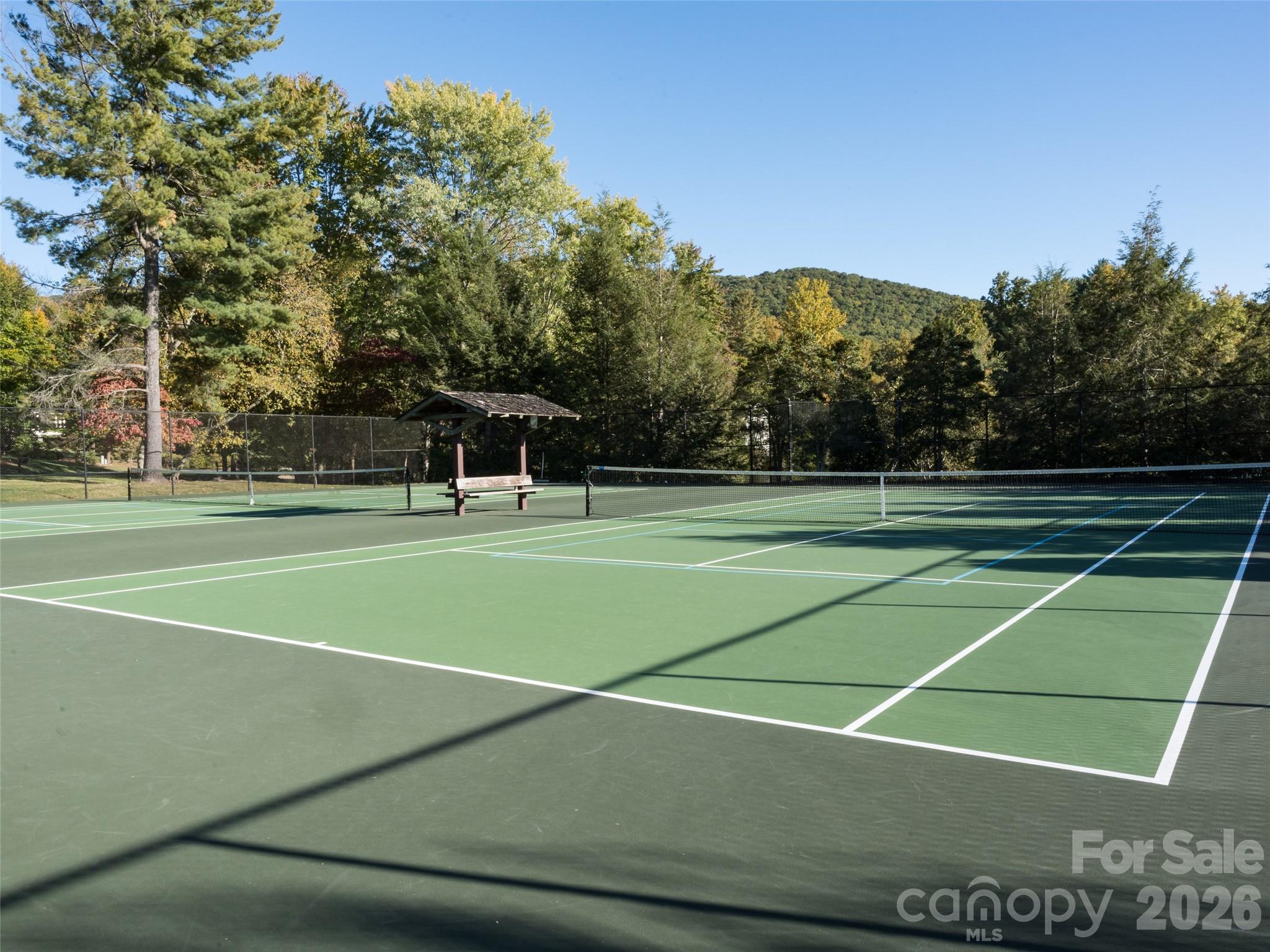 541 Welsh Partridge Circle Property Photo 43