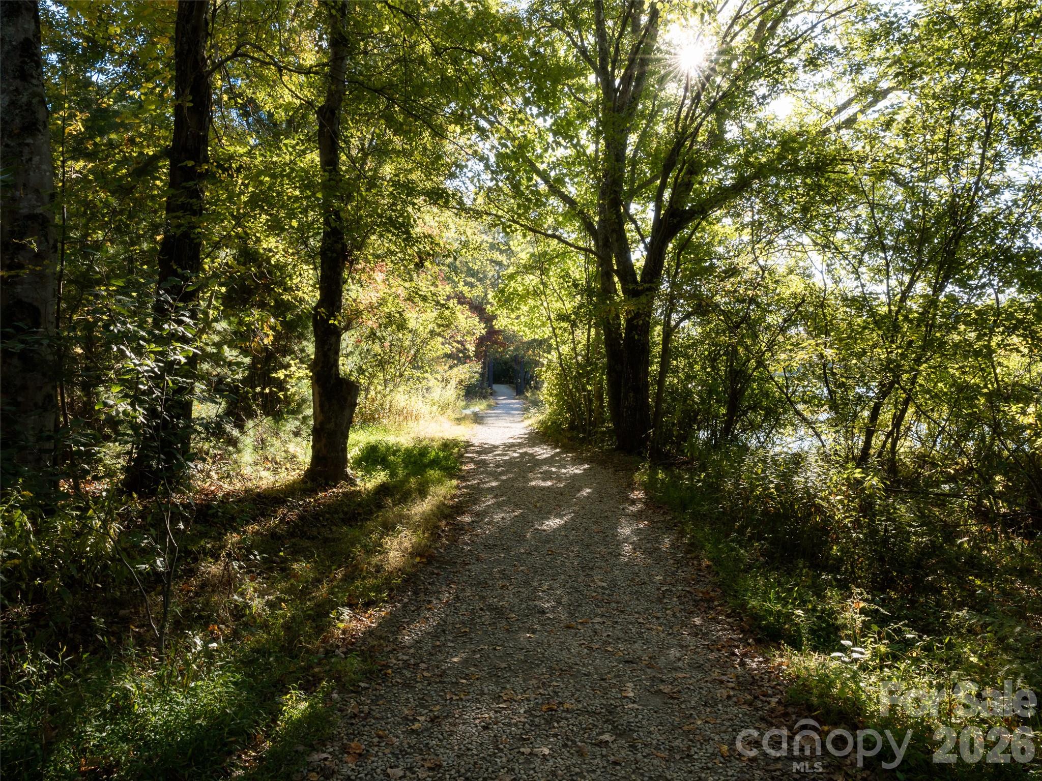 541 Welsh Partridge Circle Property Photo 44