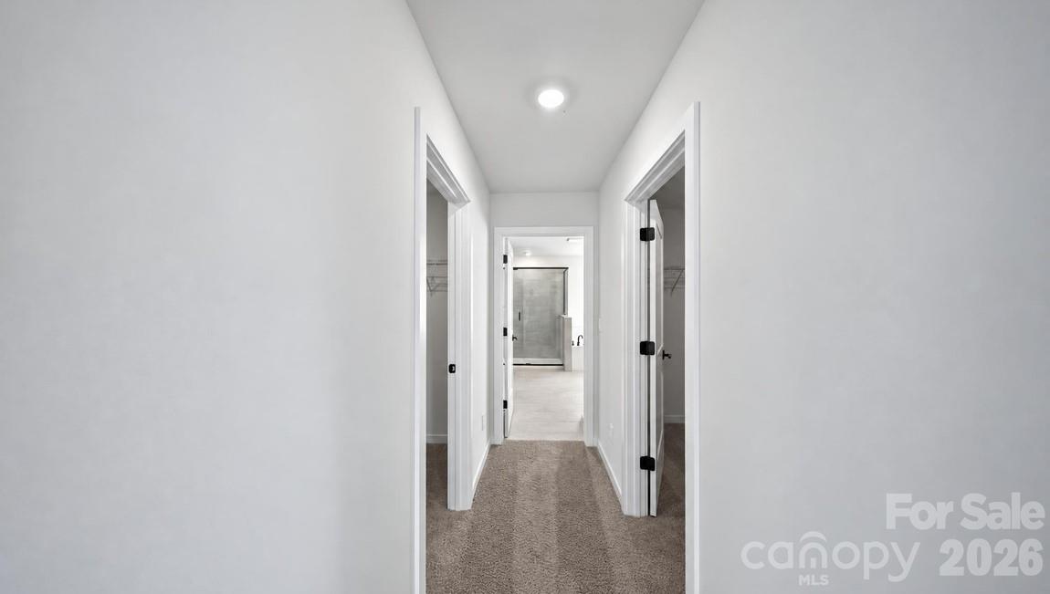 4181 Round Table Drive Property Photo 14