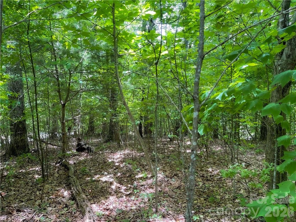 L-36 Saint Moritz Lane Lot 36 Property Photo 3