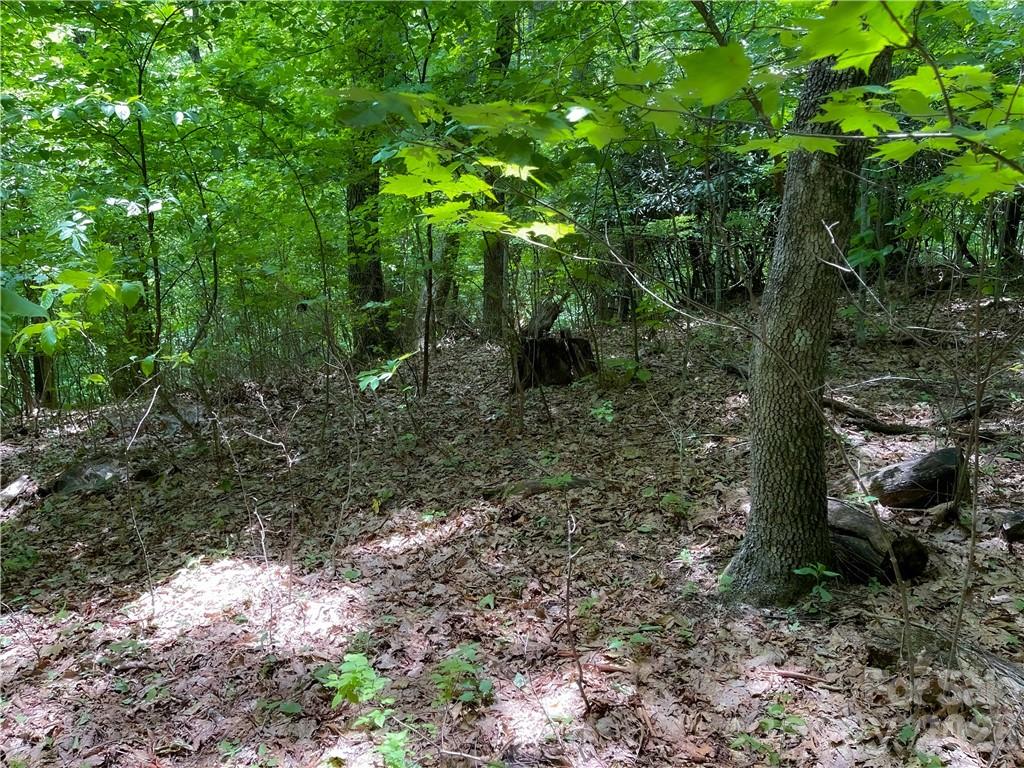 L-36 Saint Moritz Lane Lot 36 Property Photo 4