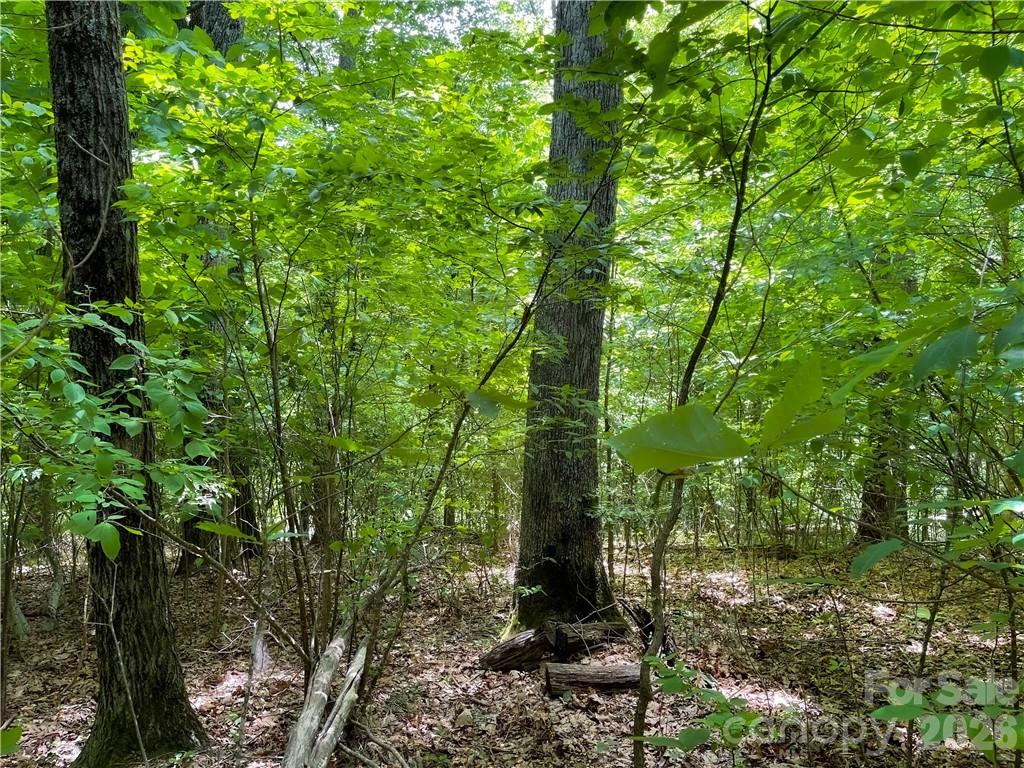 L-36 Saint Moritz Lane Lot 36 Property Photo 5