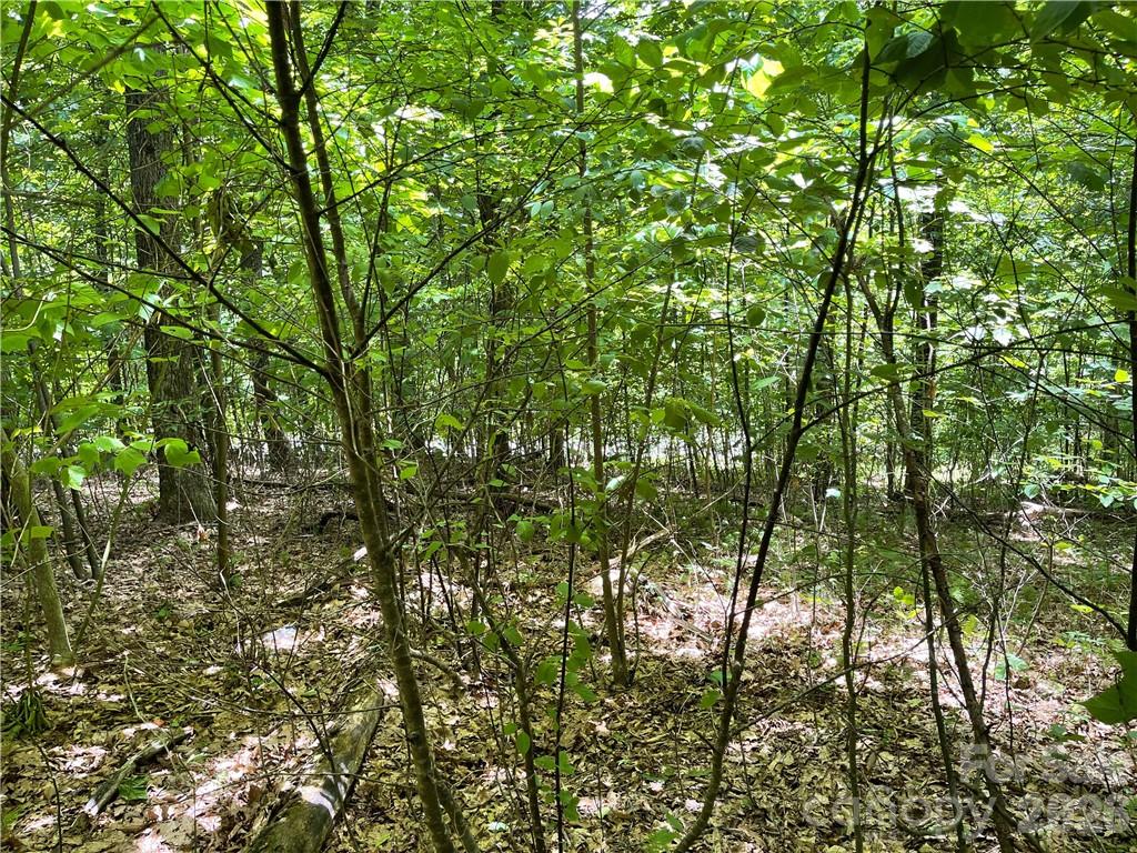 L-36 Saint Moritz Lane Lot 36 Property Photo 6