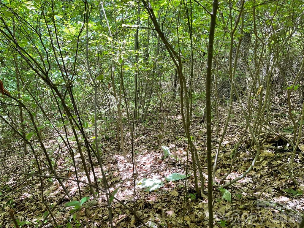 L-36 Saint Moritz Lane Lot 36 Property Photo 7