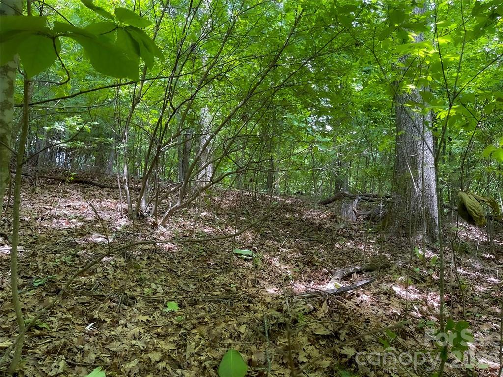 L-36 Saint Moritz Lane Lot 36 Property Photo 8