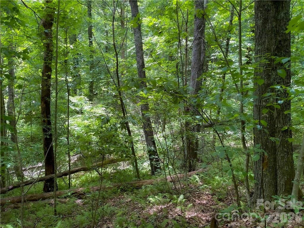 L-36 Saint Moritz Lane Lot 36 Property Photo 9