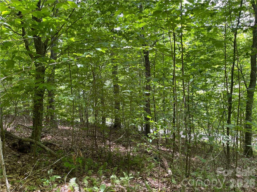 L-36 Saint Moritz Lane Lot 36 Property Photo 10