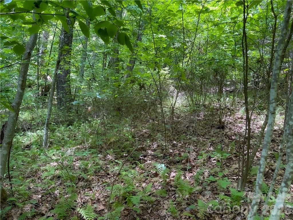 L-36 Saint Moritz Lane Lot 36 Property Photo 11