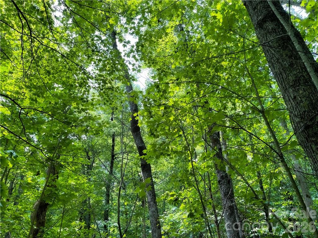 L-36 Saint Moritz Lane Lot 36 Property Photo 12