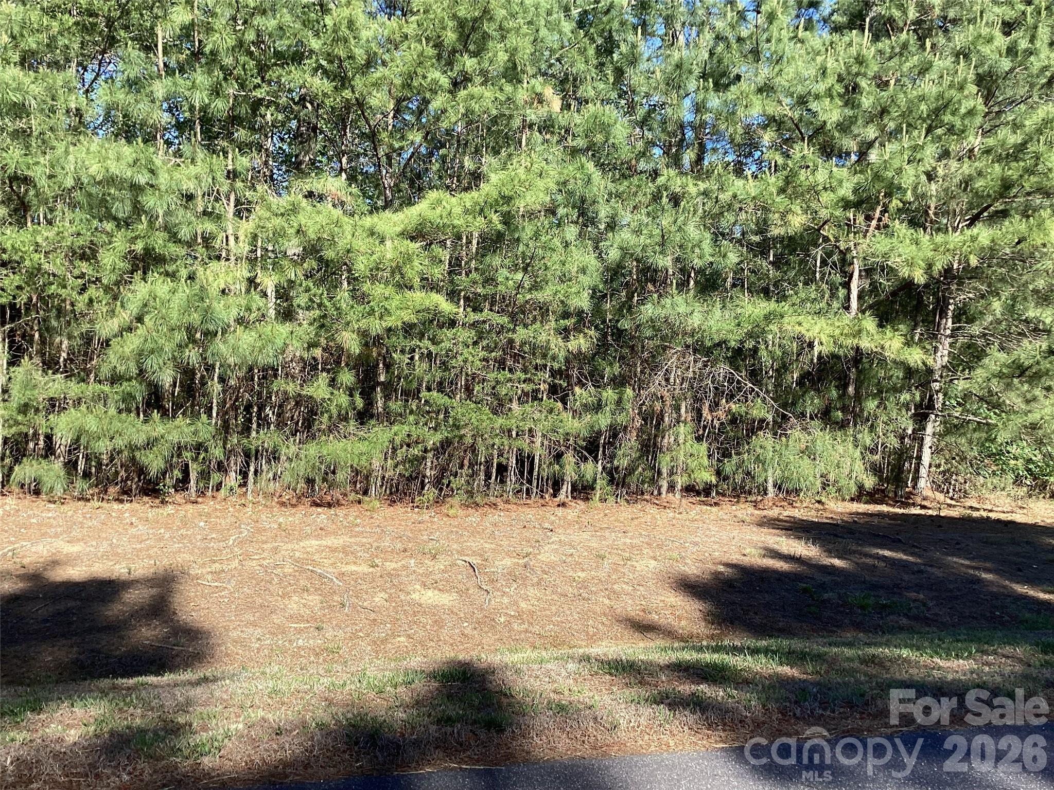 307 Twin Cove Drive 125 Property Photo 1