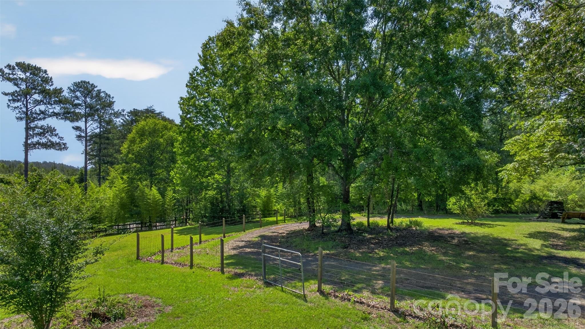 66 Misery Ridge Trail Property Photo 7