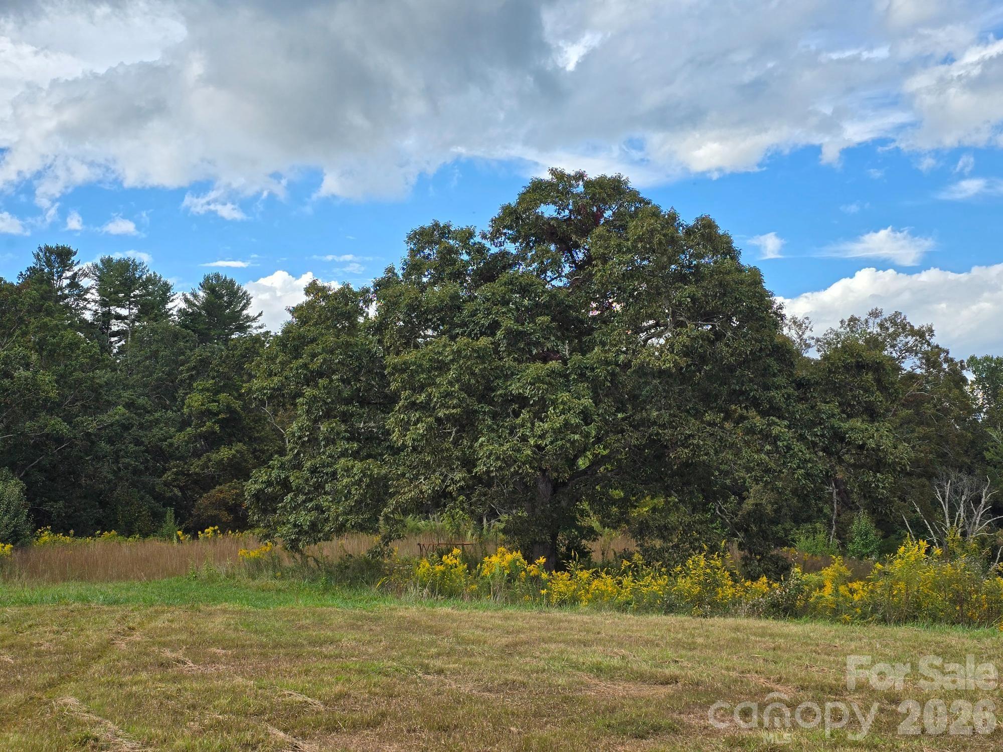 128 Cook Lane (25 Acres) Property Photo 26
