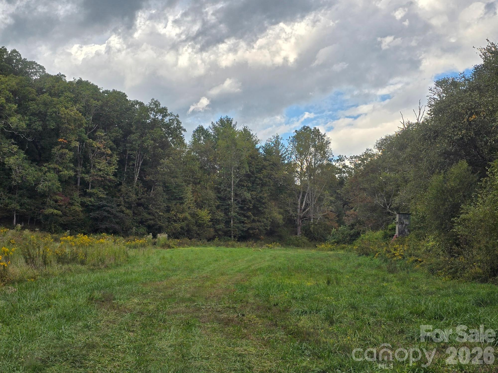 128 Cook Lane (25 Acres) Property Photo 28