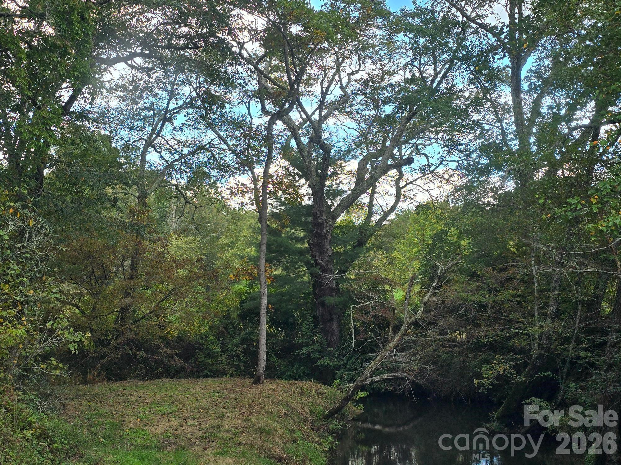 128 Cook Lane (25 Acres) Property Photo 29