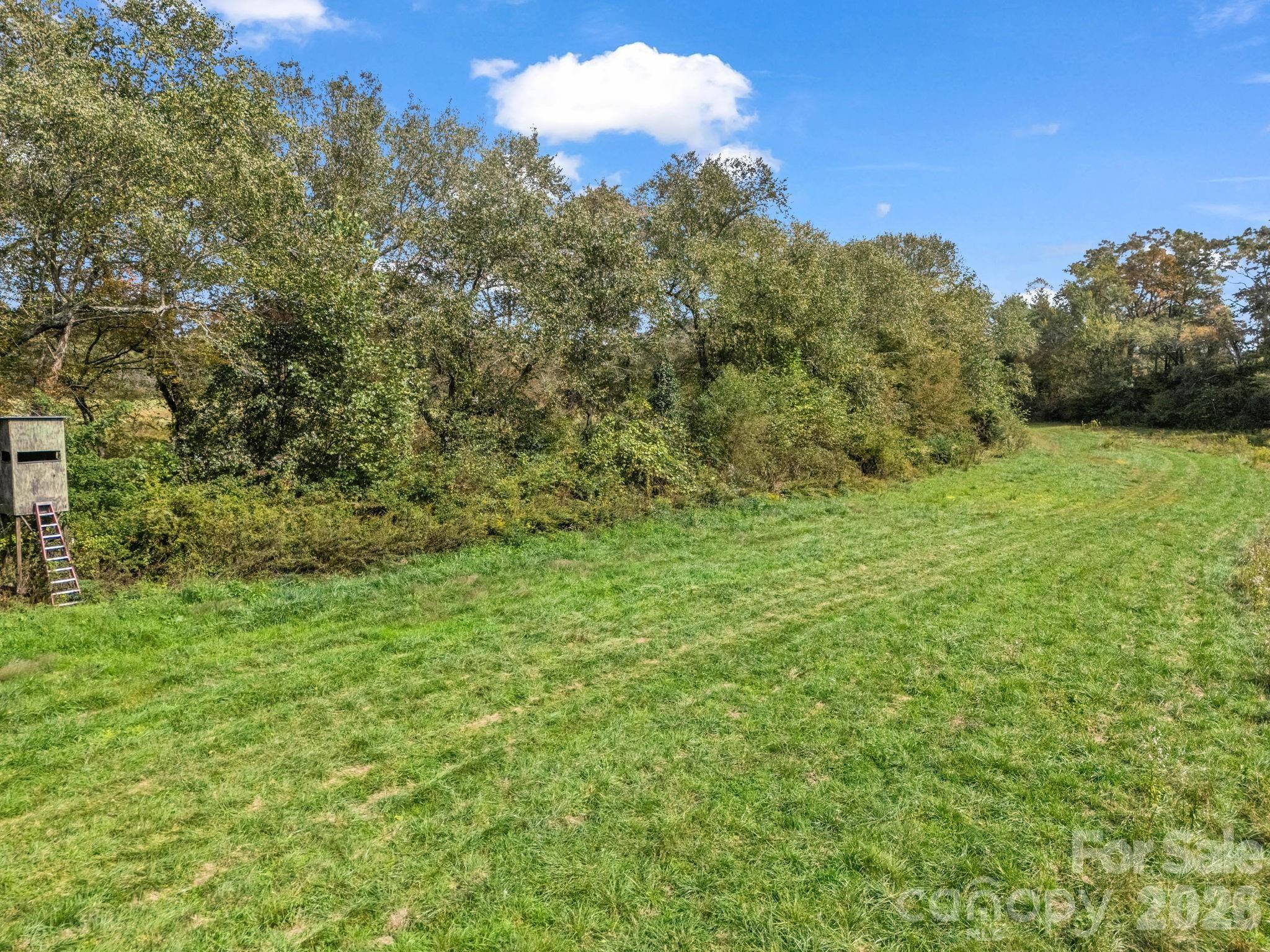 128 Cook Lane (25 Acres) Property Photo 38