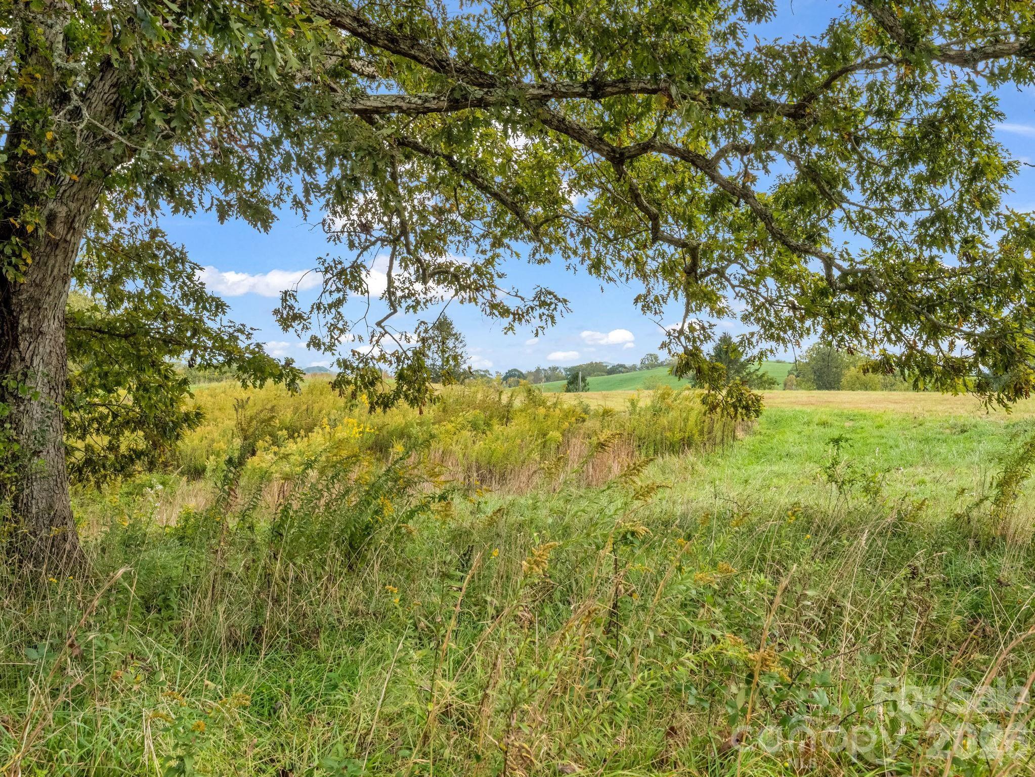 128 Cook Lane (25 Acres) Property Photo 41