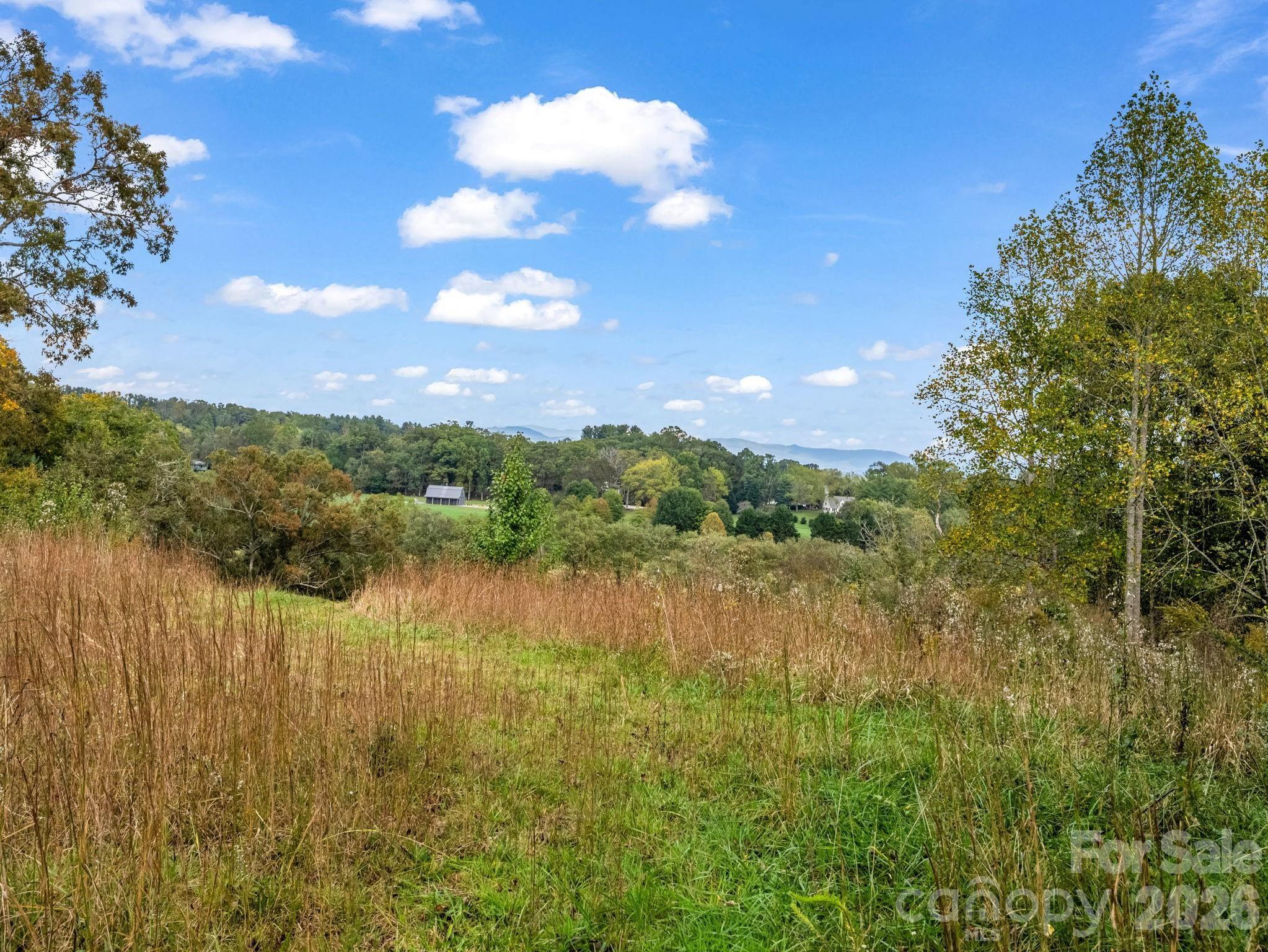 128 Cook Lane (25 Acres) Property Photo 42