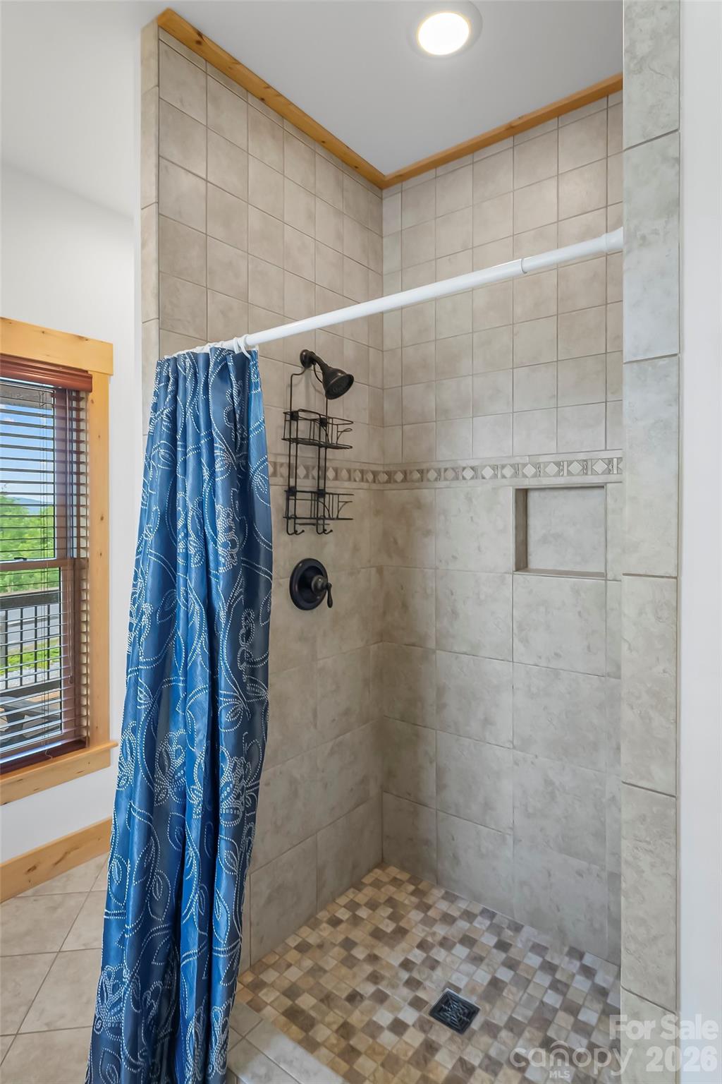122 Azule Ridge Drive Property Photo 21